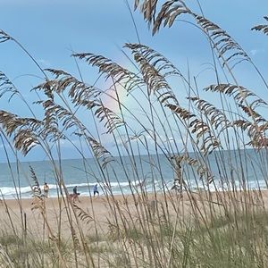 Meet your Posher, Natasha